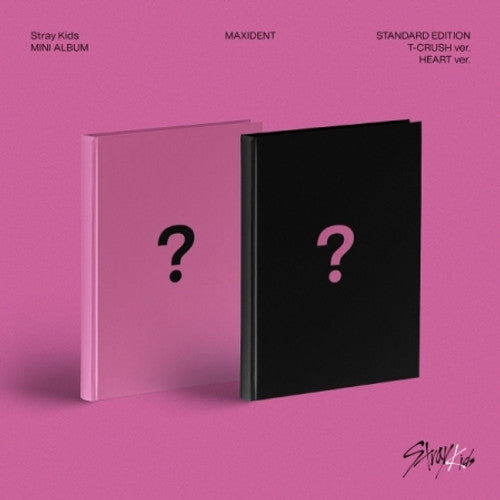 STRAY KIDS MAXIDENT ALBUM STANDARD EDITION